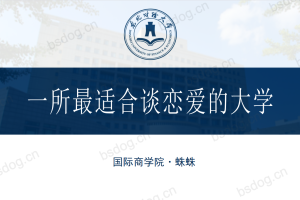 答辩PPT模板-东北财经大学